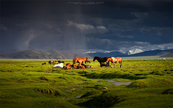 sejour insolite mongolie