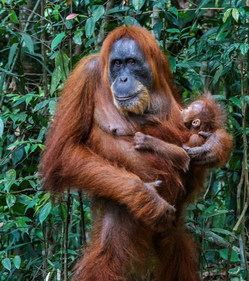 RÃ©sultat de recherche d'images pour "image securisÃ©e de nature insolite"